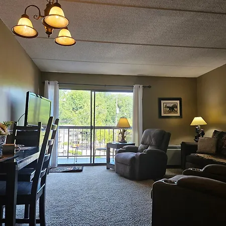 Condo 202 Olde Gatlinburg Place